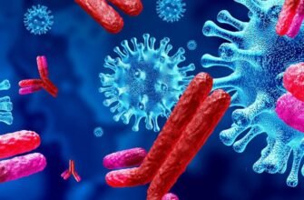 Антитела в крови: их роль в иммунитете и защите организма