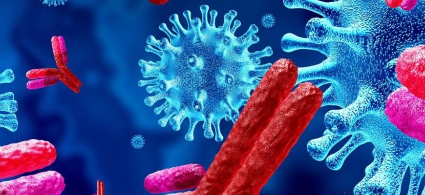 Антитела в крови: их роль в иммунитете и защите организма