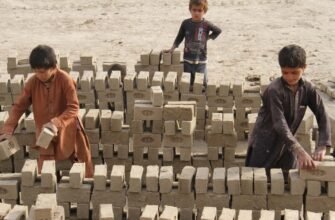 Эксплуатация: Понятие, виды и влияние на общество и экономику