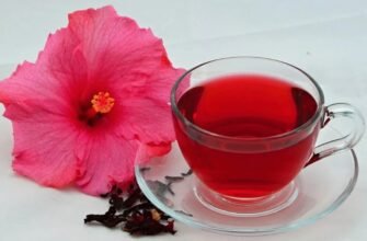 Каркаде: полезные свойства, применения и секреты красного чая