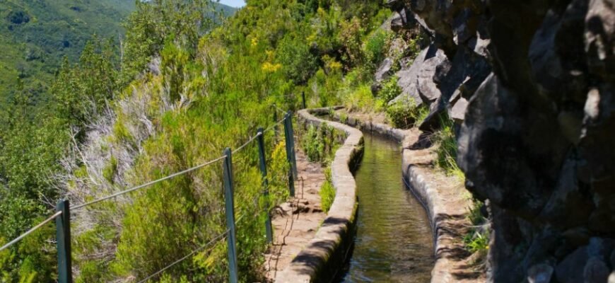 Что такое левада: всё о термине, значении и использовании в жизни Что такое левада: всё о термине, значении и использовании в жизни