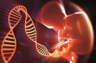 Что такое наследственность: особенности влияния генов и среды