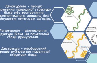 Что такое деструкция: определение, причины и последствия для вас