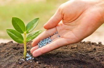 Что такое органические удобрения: виды, преимущества и применение