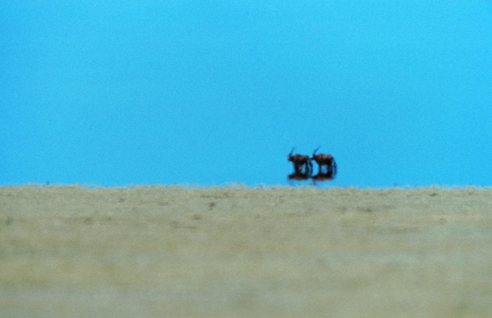 Видения Фаты Морганы: что такое миражи и как люди пытались найти ...
