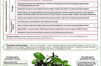 Горобина: Властивості та застосування української ягоди