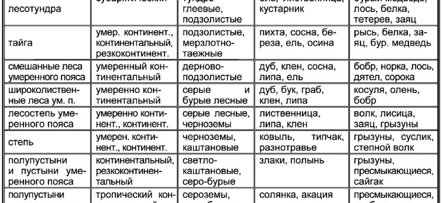 Природные зоны: определение, виды и их уникальные особенности