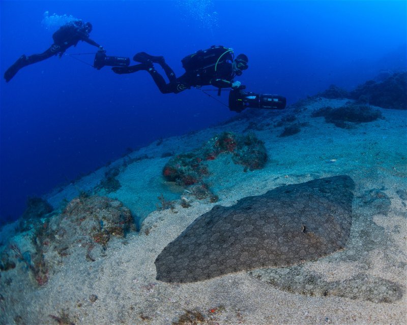 Вибір спорядження для підводного плавання . Статті компанії ...