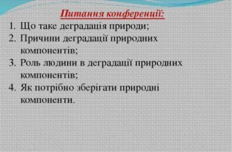 Що таке деградація: причини та наслідки для суспільства
