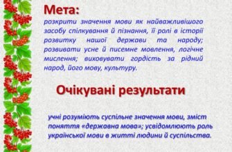 Що таке державна мова і її роль у суспільстві?