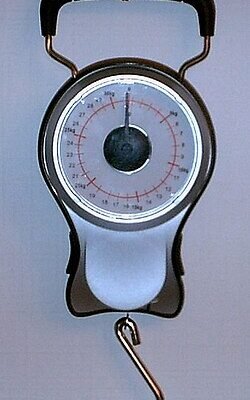 Що таке динамометр і як його використовують? Що таке динамометр і як його використовують?