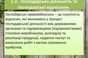 Що таке господарська діяльність: визначення і значення