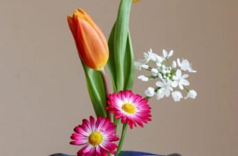 Икебана: Искусство Составления Цветочных Композиций в Японии