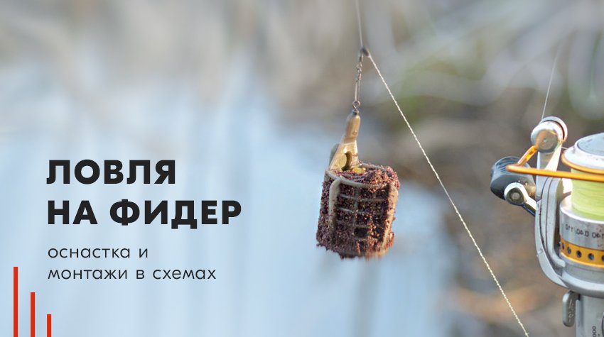 Фидерная ловля для начинающих - подготовка и выбор фидера новичку