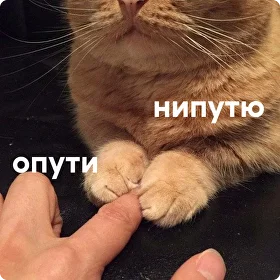 ОСНОВНЫЕ ЛИТЕРАТУРНЫЕ ЖАНРЫ. ЭПОС - РУССКАЯ ЛИТЕРАТУРА В СХЕМАХ И ...