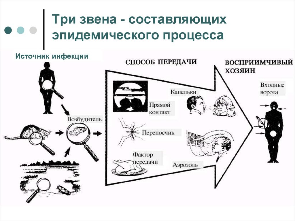 Неделя профилактики заболеваний эндокринной системы (в честь ...