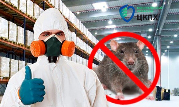 Що таке дератизація? - Новини - Миколаївський обласний центр ...