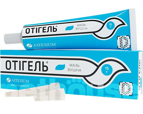 Ефективна мазь для лікування вушного кліща у котів: найкращі рішення