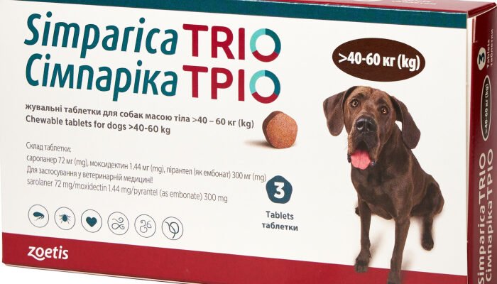 Ефективні ліки від глистів для собак: вибір та застосування препаратів Ефективні ліки від глистів для собак: вибір та застосування препаратів