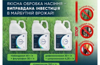 Ефективні методи обробки пшениці для захисту від бур’янів