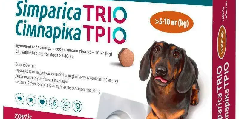 Ефективні методи обробки собак від кліщів: поради та рекомендації