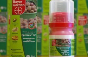 Ефективні препарати для боротьби з дротяником: огляд засобів та порад