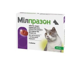 Ефективні уколи від бліх для котів: захистіть свого улюбленця зараз