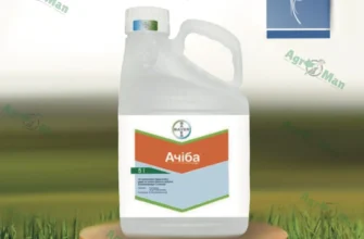 Ефективні засоби проти бур’янів: вибір оптимального рішення для вас