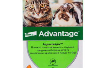 Ефективність крапель від бліх для котів: як вони діють і захищають