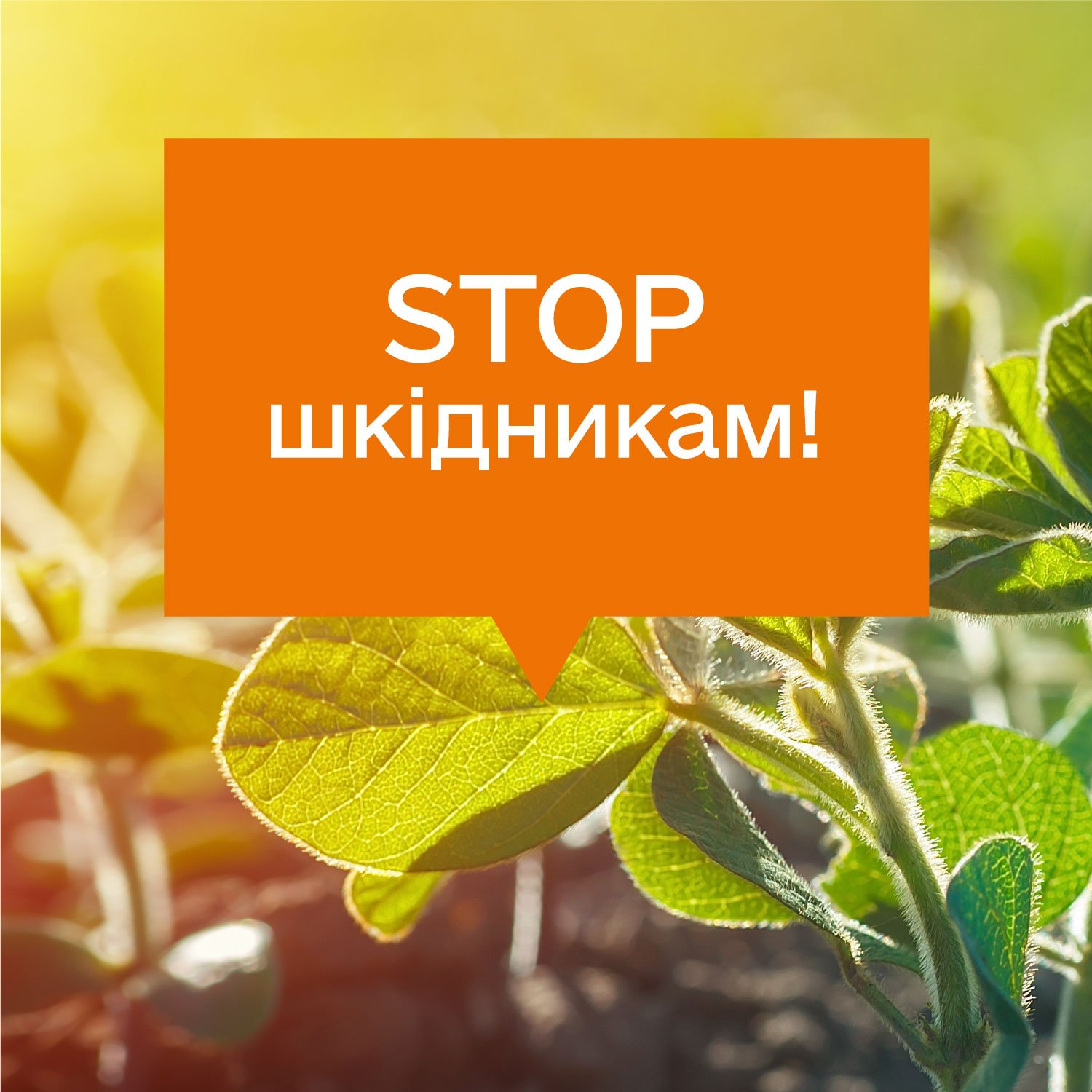 Інсектицид для підвищення врожайності ✓ Ефективна боротьба зі ...