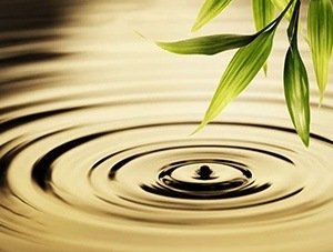 Гомеопатические препараты: природа на страже вашего здоровья