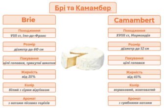 Камамбер чи брі: основні відмінності популярних французьких сирів