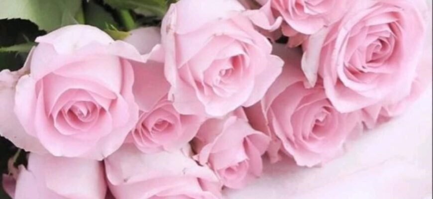 Картинки з Днем Народження для жінок: кращі ідеї для привітання