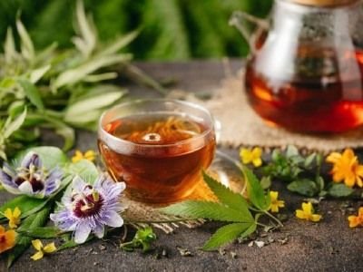 Вирощування лікарських трав на дачі: вибираємо рослини