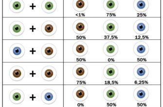 Від чого залежить колір очей: основні фактори та генетика
