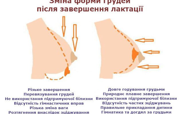 Від чого залежить розмір грудей: основні фактори та впливи на форму