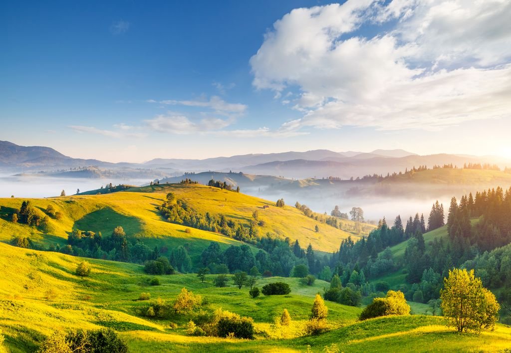 Потяги з Ужгород до Львівська область від UAH 193 Лют. 2026 ✓